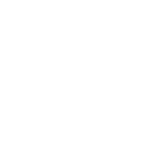 The Natural Woodshop logo